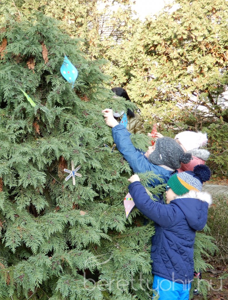 Fenyődíszítés a kórházban 11